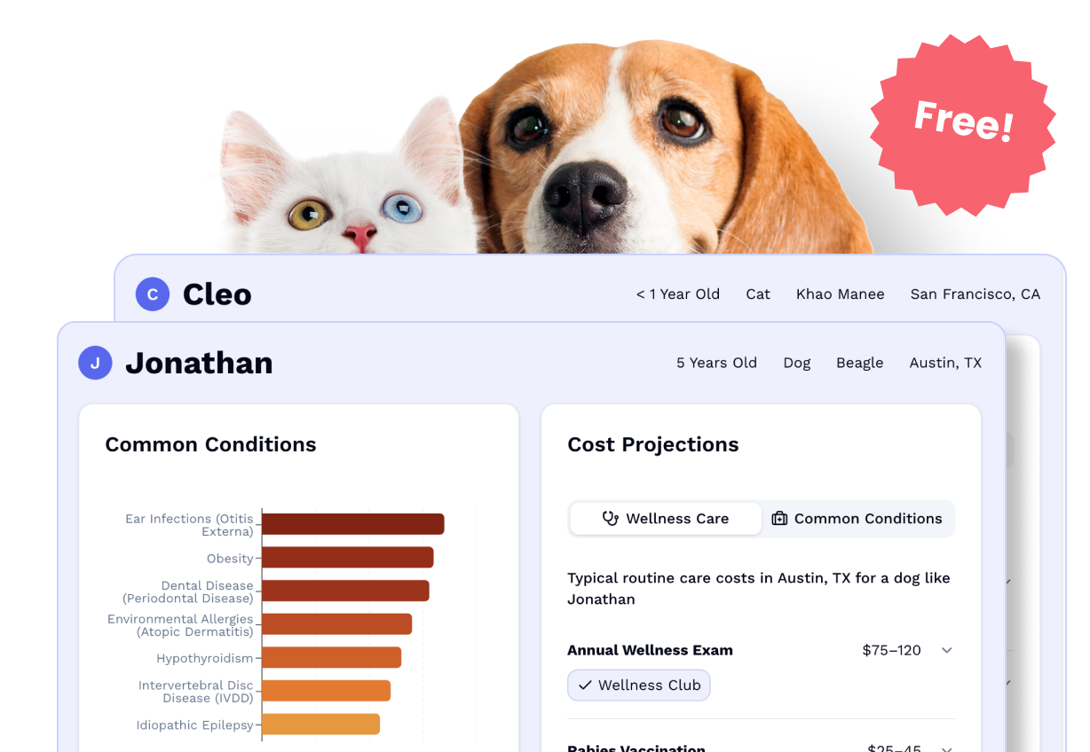 Screenshot of sample care report