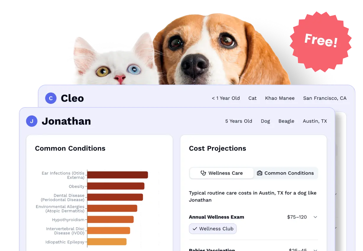 Screenshot of sample care report